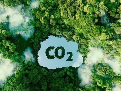 Hướng tới vận hành chính thức sàn giao dịch carbon từ năm 2029