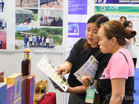 VIIEF 2026 mở rộng kết nối giao thương Việt Nam - Trung Quốc