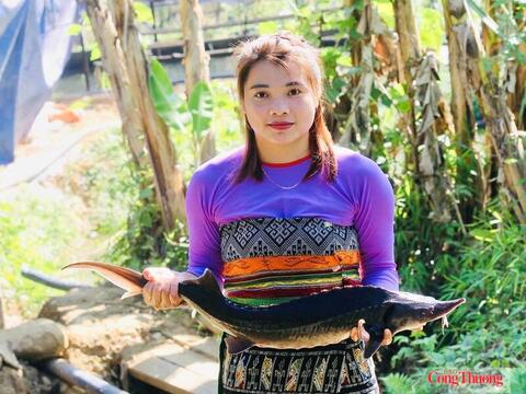 Thanh Hóa: Cá tầm OCOP 3 sao và khát vọng làm giàu nơi vùng cao