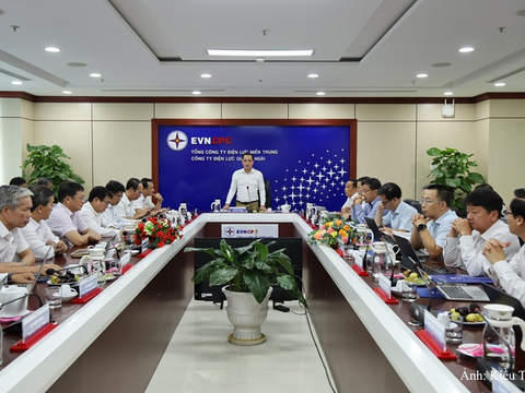 Chủ tịch Hội đồng thành viên EVNCPC làm việc với PC Quảng Ngãi