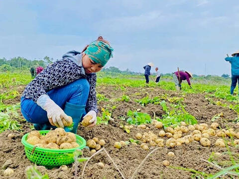 Đào tạo nghề tạo sinh kế bền vững cho đồng bào DTTS ở Quảng Ninh