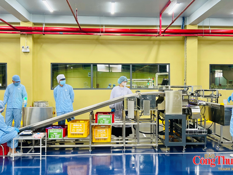Gia Lai: Xuất khẩu vượt 2,35 tỷ USD, công nghiệp, thương mại đều tăng