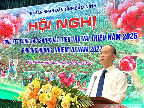 Hơn 100 tấn vải thiều được tiêu thụ qua các sàn thương mại điện tử