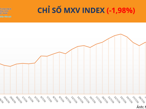 Giá đậu tương giảm hơn 5% khi thời tiết Mỹ thuận lợi trở lại
