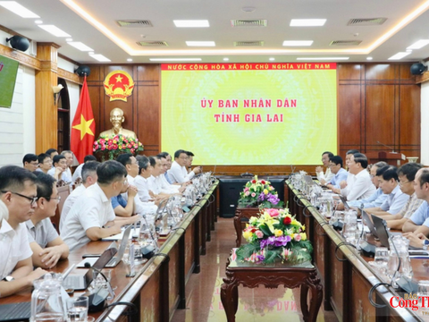 Tỉnh Gia Lai và EVN thống nhất giải pháp phát triển lưới điện theo Quy hoạch điện VIII điều chỉnh
