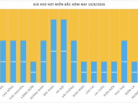 Giá heo hơi hôm nay 19/8/2026: Đảo chiều, tăng 1.000 đồng/kg