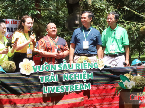 Bí thư Đảng ủy xã livestream bán sầu riêng, kết nối thị trường quốc tế