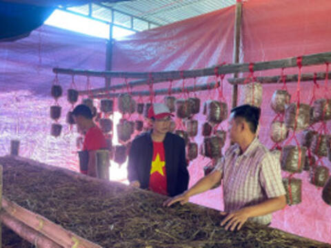 Khi lớp nghề bén rễ từ nhu cầu sinh kế