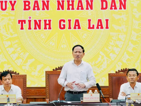 Gia Lai: Kinh tế tháng 8 duy trì đà tăng, nhiều lĩnh vực bứt phá