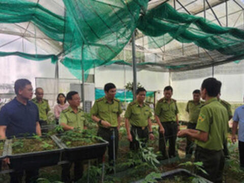 Ban Quản lý Khu bảo tồn thiên nhiên Mường La phát huy giá trị đa dụng của rừng