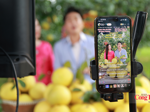 Hà Tĩnh: Đưa nông sản OCOP vươn xa qua phiên Mega Live