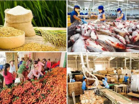 Chung tay nâng cao giá trị nông, lâm, thủy sản
