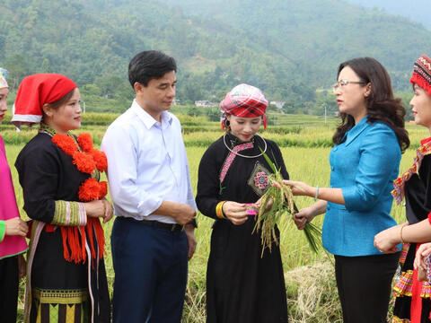 Giữ hương cốm truyền thống ở Hợp Thành (Lào Cai)