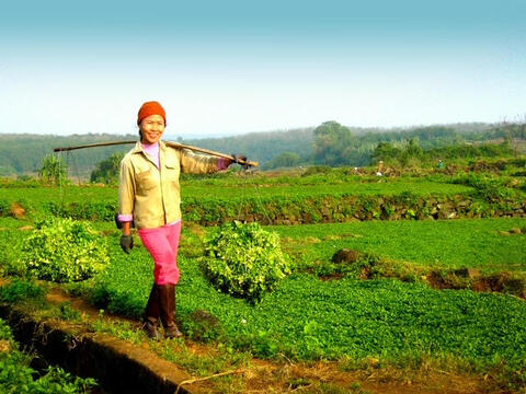 Xã Cồn Tiên (Quảng Trị): Tạo đà phát triển từ nông nghiệp và du lịch