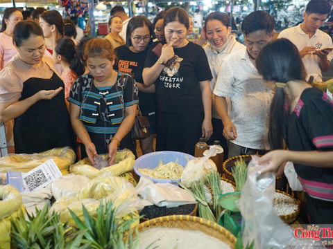 Xúc tiến thương mại đưa nông sản miền núi Đà Nẵng vươn xa
