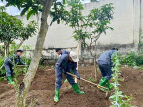 Sơn La đẩy mạnh đào tạo ngành Trồng trọt và Bảo vệ thực vật cho sinh viên