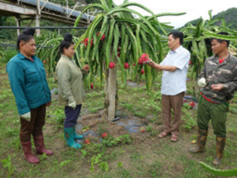 Hiệu quả từ đầu tư trường nghề ở vùng nông thôn Sơn La