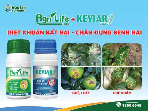 Hành trình phủ sóng các vùng canh tác trọng điểm của Hợp Trí Summit