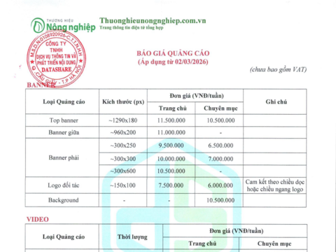 Báo giá năm 2026