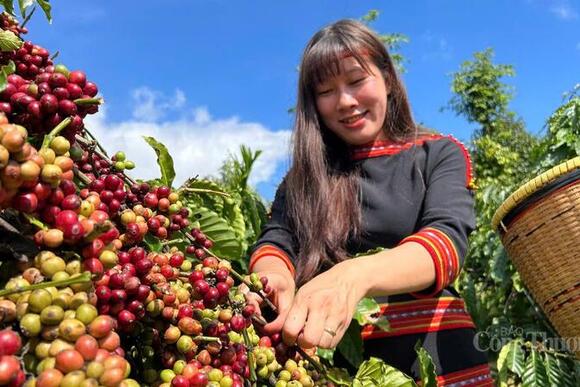 Đắk Lắk: Nhiều giải pháp giúp xuất khẩu đột phá năm 2026