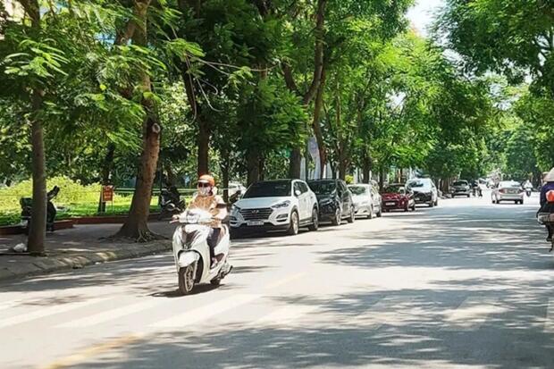 Ngày 14/11: Miền Bắc ngày nắng, đêm và sáng trời rét