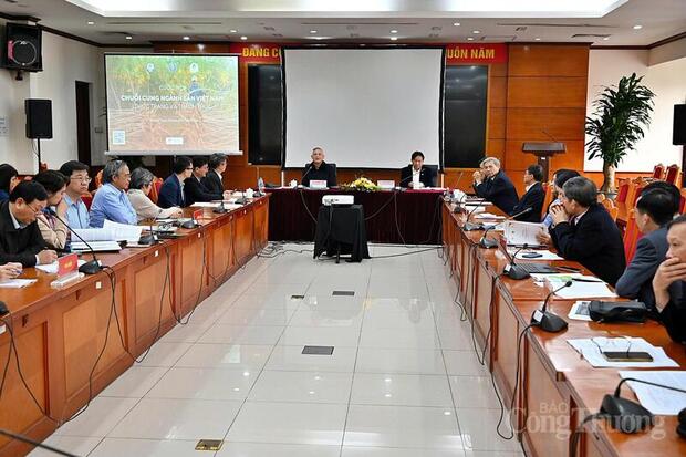 Gỡ 'nút thắt' cho ngành sắn, hướng tới mục tiêu xuất khẩu 2,5 tỷ USD