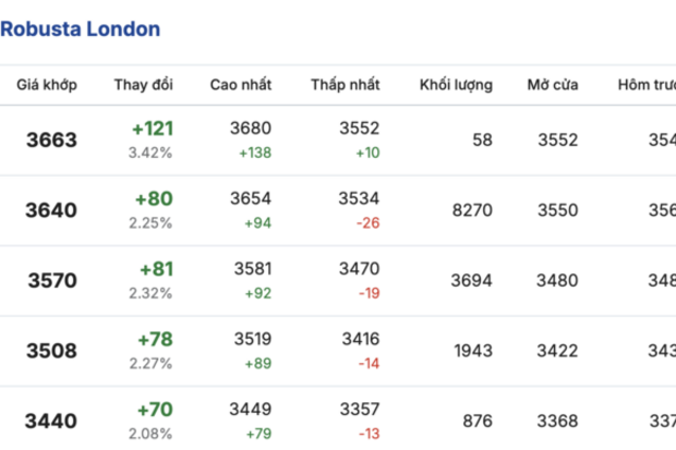 Giá cà phê  hôm nay 25/2/2026: Giảm nhẹ 300 - 400 đồng/kg