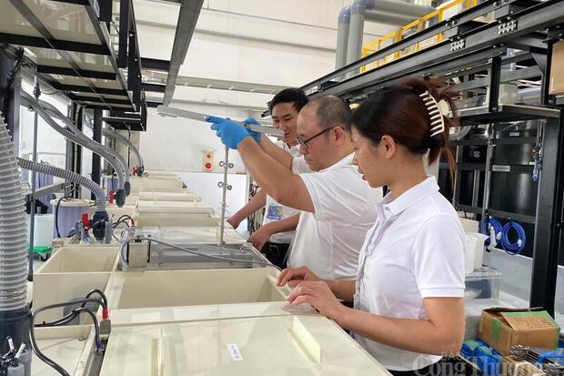 Sản xuất khởi sắc: Chuyên gia, doanh nghiệp nói gì?