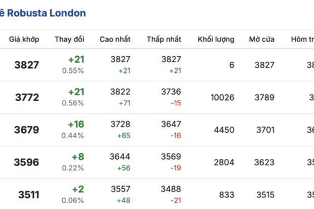 Giá cà phê hôm nay 9/3/2026: Đi ngang