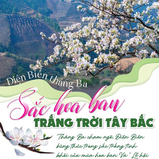 Điện Biên tháng Ba - Sắc hoa ban trắng trời Tây Bắc