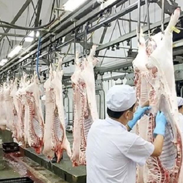 Đồng Nai: Mời gọi đầu tư dự án chăn nuôi, sản xuất, chế biến 30.500 tỷ đồng