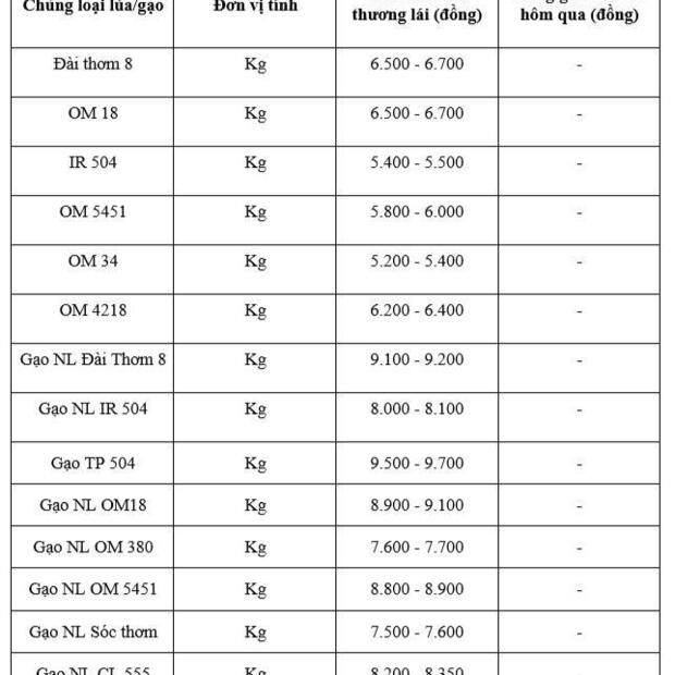 Giá lúa gạo hôm nay ngày 13/2/2026: Cận Tết thị trường giao dịch chậm, giá ổn định