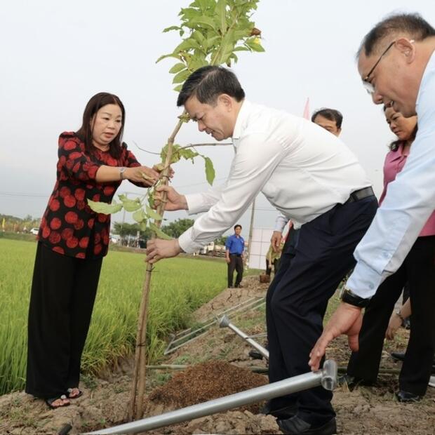 Cần Thơ phát động Tết trồng cây, kỳ vọng vụ lúa Đông Xuân thắng lợi