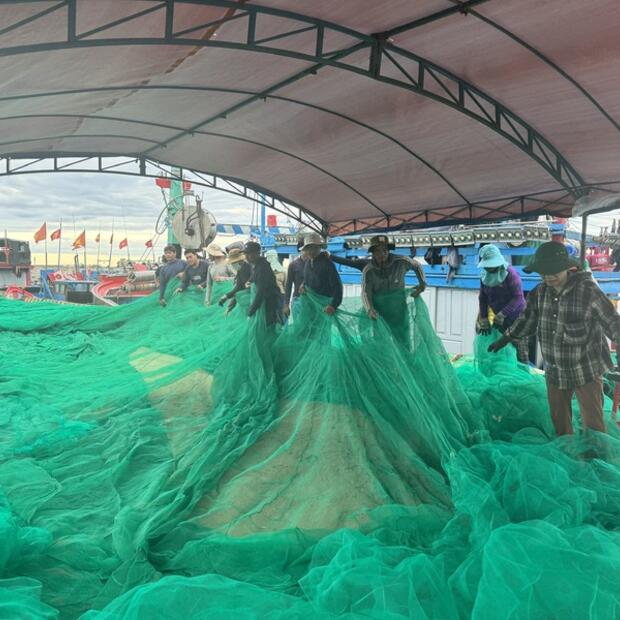 Quảng Ngãi: Ngư dân tìm cách thích nghi với giá dầu tăng để bám biển