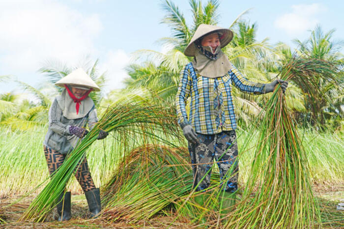 Khai thác tốt tiềm năng, nâng tầm sản phẩm làng nghề