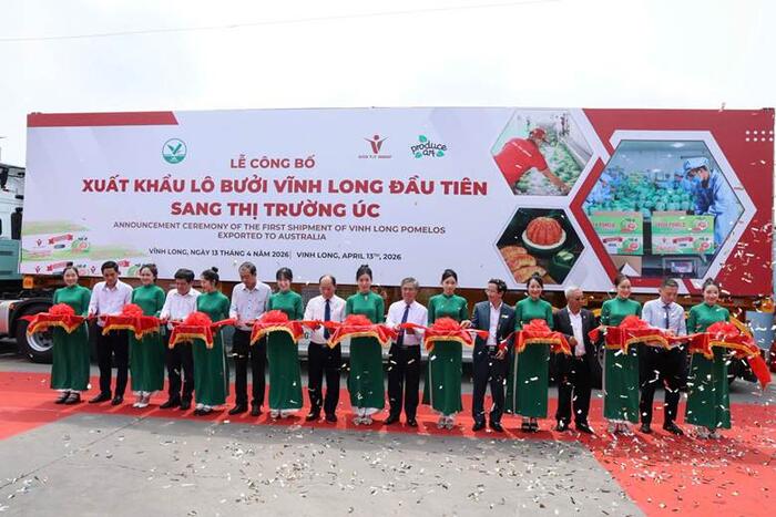 Bưởi Việt lần đầu vào Úc, mở cửa thị trường khó tính sau hai năm đàm phán