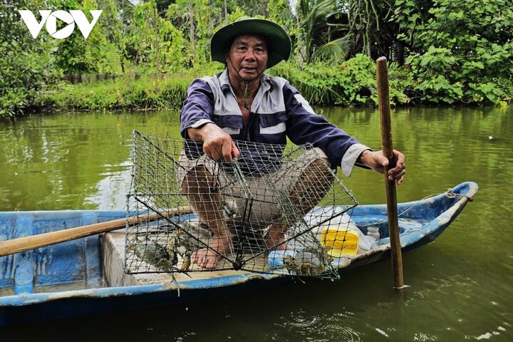 Ngành cua có tiềm năng lớn - Cà Mau có lợi thế dẫn đầu