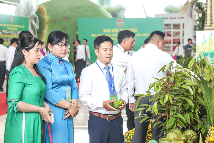 Hợp tác xã tiếp sức xây dựng nông thôn mới