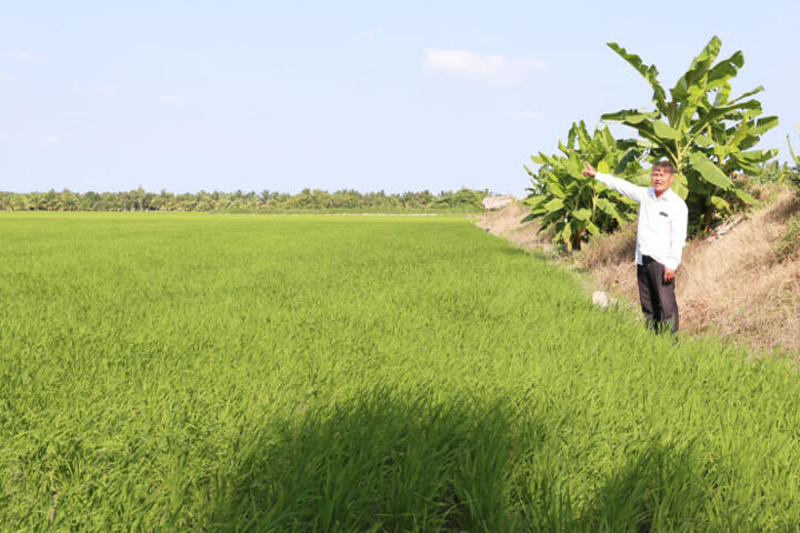 Hợp tác xã Nông nghiệp Rạch Lọp phát huy hiệu quả hỗ trợ nông dân
