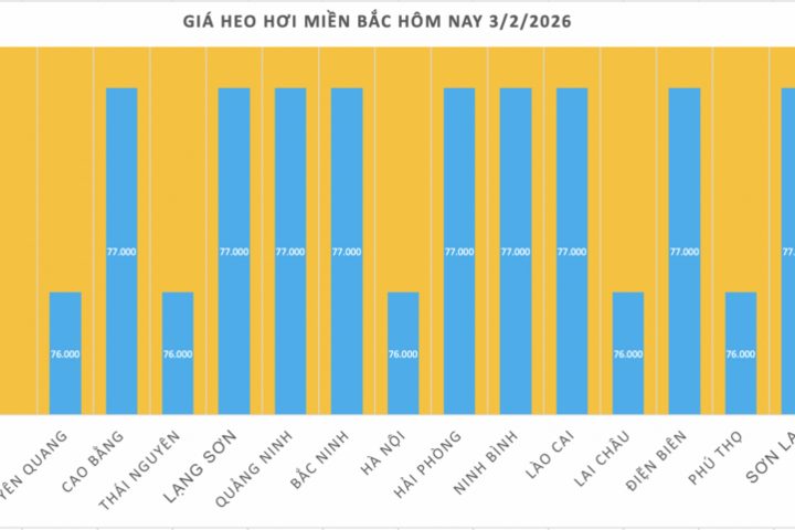 Giá heo hơi hôm nay 3/2/2026: Giảm mạnh trên cả nước