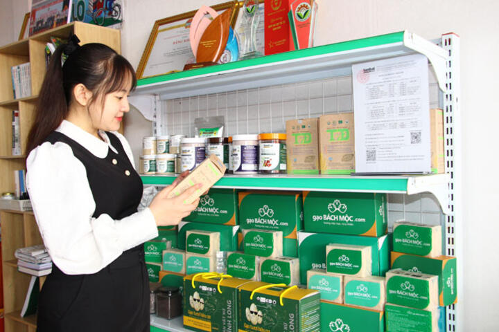 Hợp tác xã “gỡ khó”, mở lối tiêu thụ nông sản