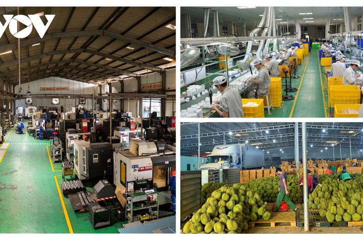 Kiến tạo “đường băng” cho doanh nghiệp dân tộc đồng hành với đất nước