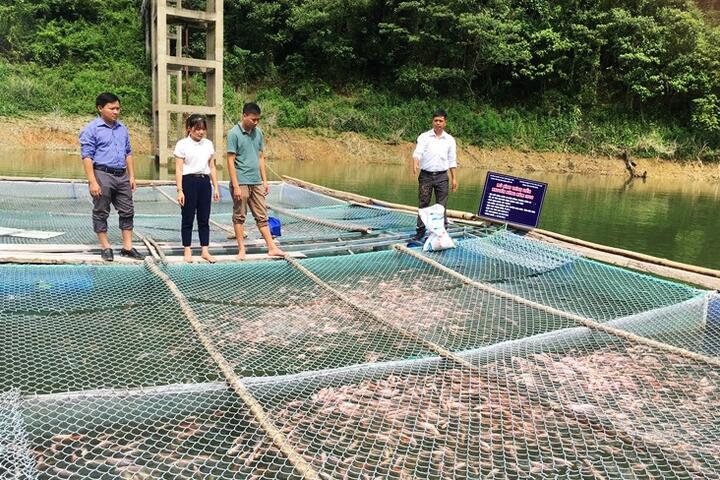 Nhiều diện tích nuôi trồng thủy sản đạt tiêu chuẩn chất lượng