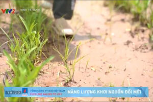 Chương trình Kinh tế xanh  phát triển mô hình nông nghiệp hữu cơ tại Việt Nam