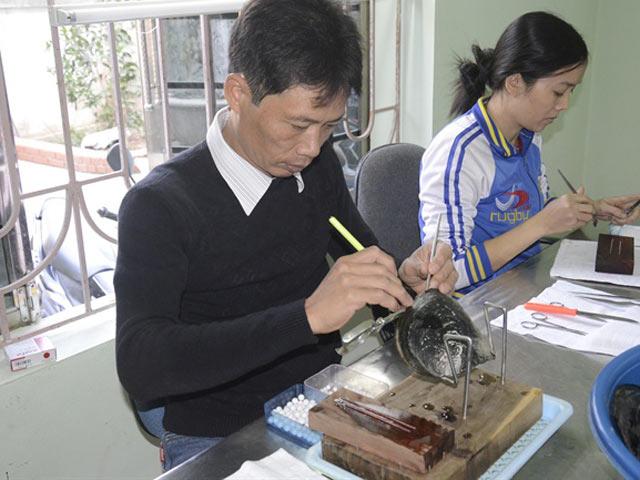 nguoi co ban 'tay vang' cay ghep, nuoi trong ngoc trai hinh anh 1