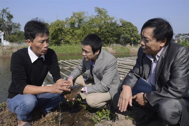 nguoi co ban 'tay vang' cay ghep, nuoi trong ngoc trai hinh anh 3