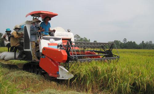 philippines gia han nhap khau gao viet: mung nhieu, lo cung... khong it hinh anh 1