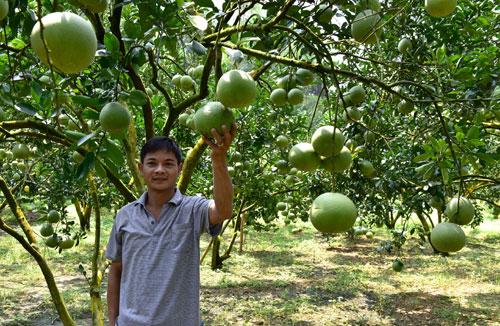 buoi phuc ninh tu an choi den... lam that hinh anh 2