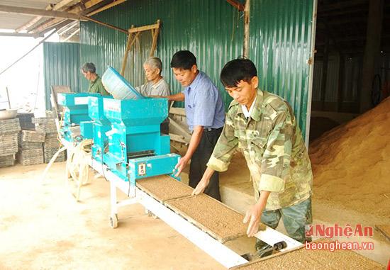 nghe an: san xuat ma khay va cay bang may hinh anh 1