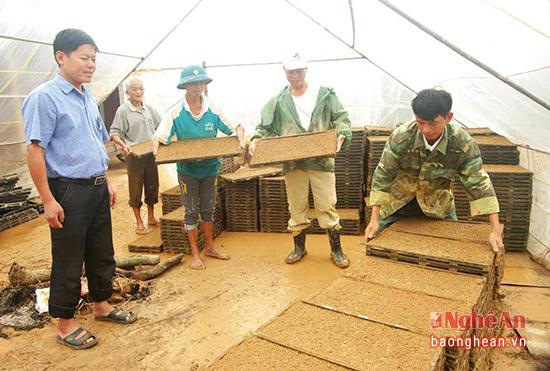 nghe an: san xuat ma khay va cay bang may hinh anh 2